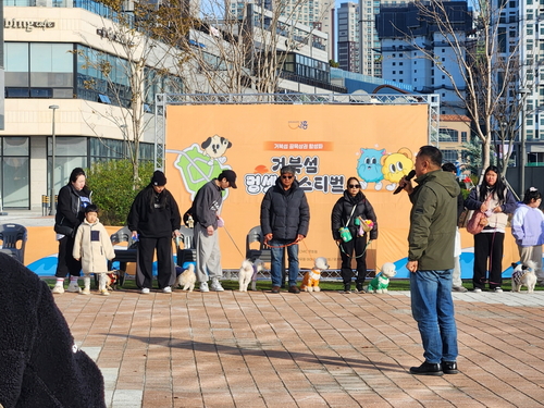 시흥시 2024 거북섬 멍셋 페스티벌 현장