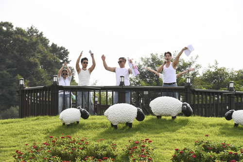 양주시 '2025 제7회 천만송이 천일홍 축제' 현장
