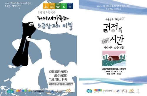 시흥시 소금창고 인형극-기획전 안내 포스터