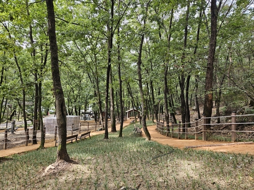 안양시 안양예술공원 맨발산책길 전경