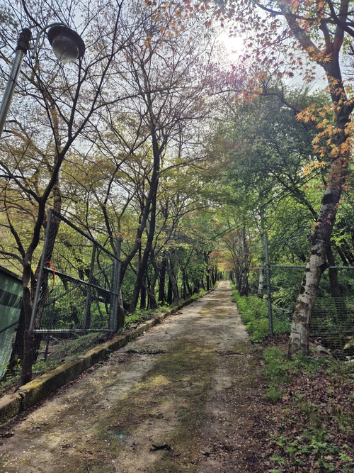 동두천시 '소요 숲 힐링공간 조성사업' 착공