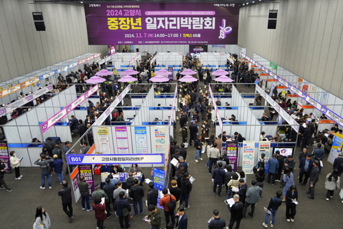 고양특례시 2024년 중장년 일자리박람회 전경