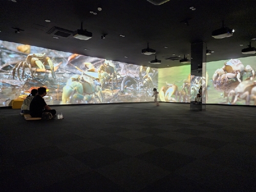 고양특례시 장항습지생태관 미디어아트관