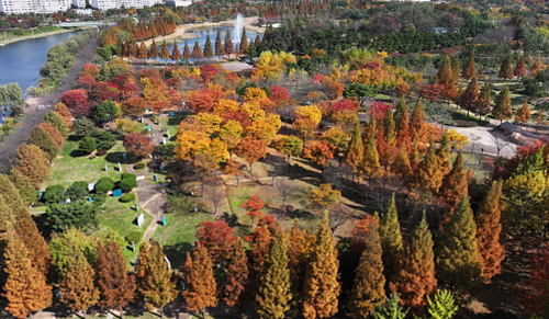 지난 2일 경기도 안산시 상록구 안산호수공원에 단풍이 물들어 있다. 연합뉴스