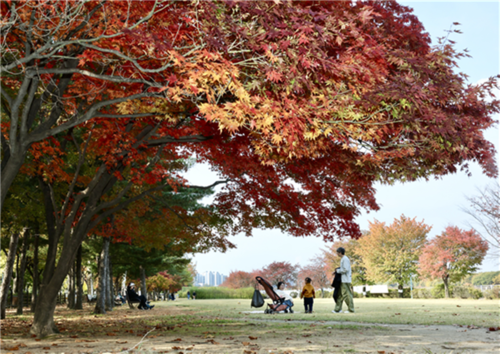 하남시 미사경정공원 가을 풍광