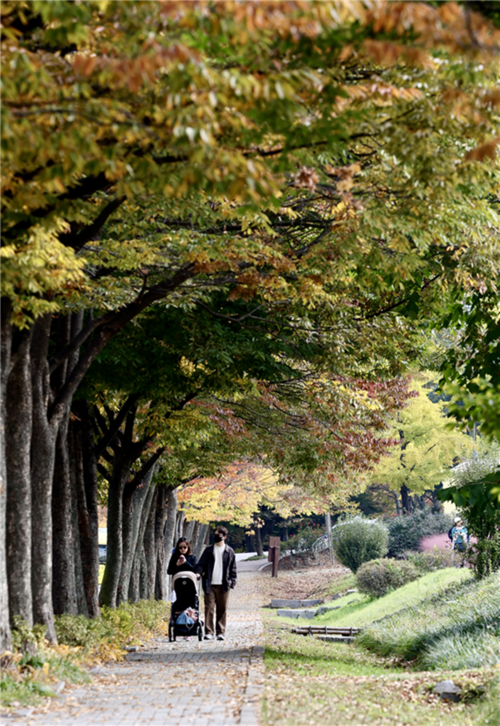 하남시 미사경정공원 가을 풍광