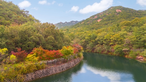 서울대 안양수목원
