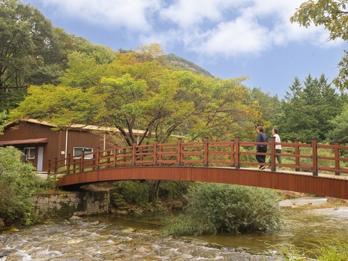 서울대 안양수목원