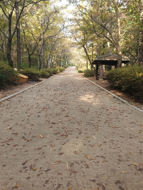 의정부 직동근린공원 산책길
