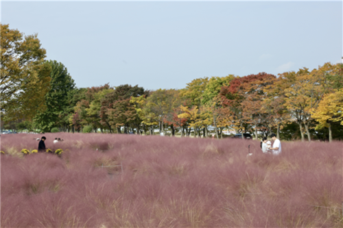 하남시 미사경정공원 가을 풍광