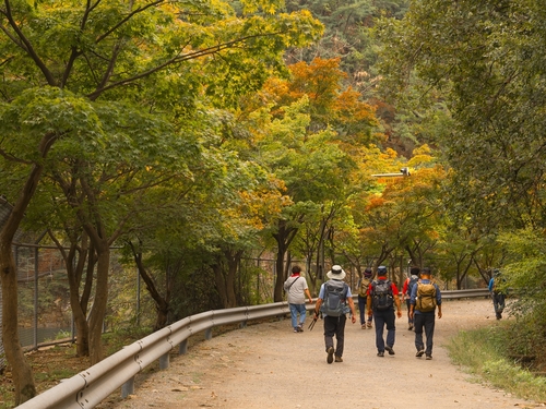 서울대 안양수목원