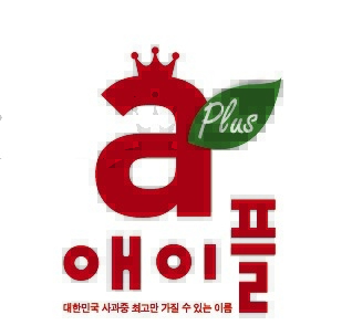 안동농협 농산물공판장, 농식품부 '2024년 도매시장 운영실적 평가' 최우수 선정