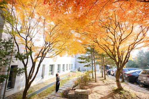 양주시청 단풍길