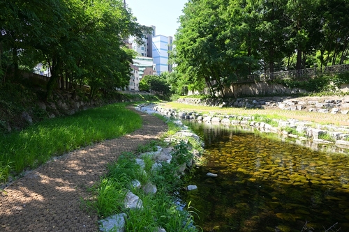 의정부시,우리동네 정책로드맵- 호원1동 호원천 전경