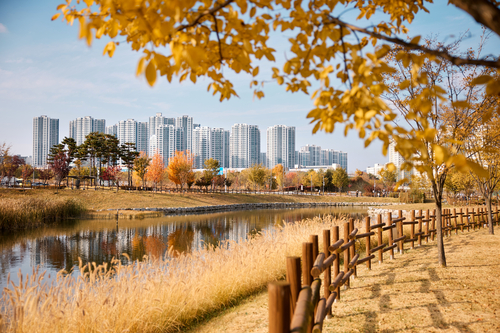 만추 양주 옥정신도시