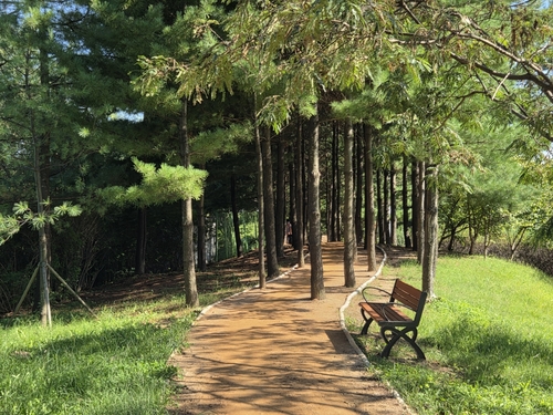 김포시 걸포중앙공원 맨발걷기길