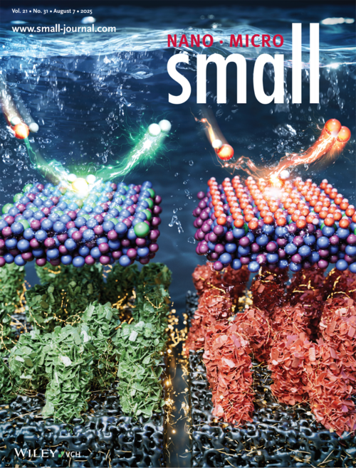 Small: Volume 21, Issue 31 Back Cover 이미지 (자료=한양대)