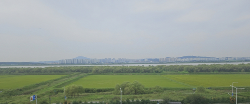 고양특례시 장항습지 전경