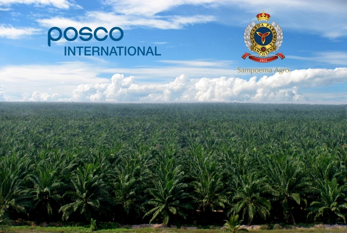 인도네시아 삼푸르나 아그로 팜 농장