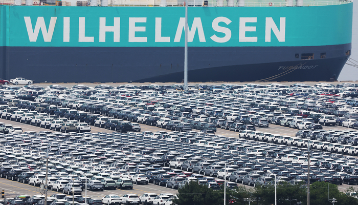 경기도 평택항에 세워져 있는 수출용 자동차.