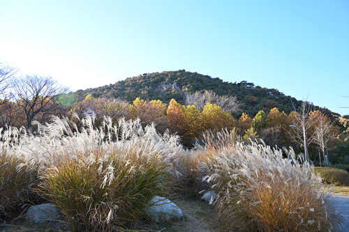 시흥시 정왕동 옥구공원