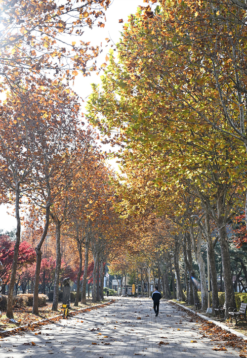 시흥시 정왕동 옥구공원