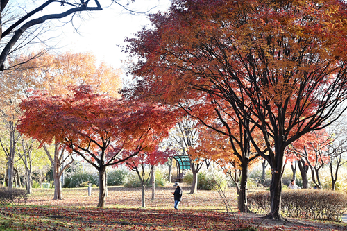 시흥시 정왕동 옥구공원