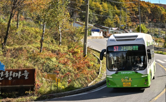정선군 와와버스