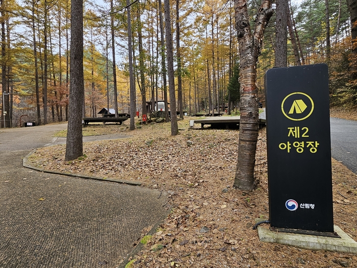숲이 주는 고요 속으로, 국립청옥산자연휴양림