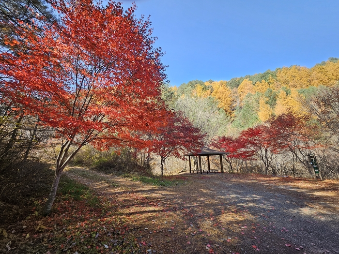 단풍이 물든 마을 쉼터, 대현1리 칠성암 정자