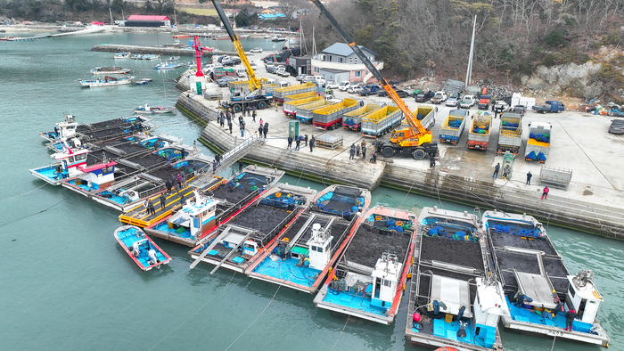 K-김(GIM)의 본고장 완도, 햇김 채취 한창