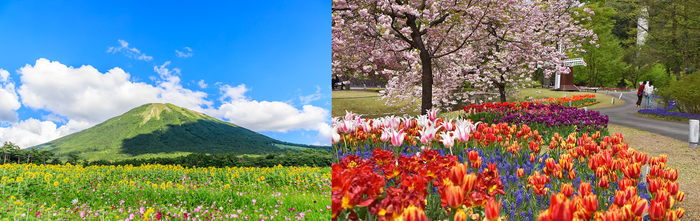 다이센 산(좌측)과 일본 최대 플라워 파크 '돗토리 하나카이로'. 사진=일본정부 관광국(JTNO)·전일본공수(ANA) 제공