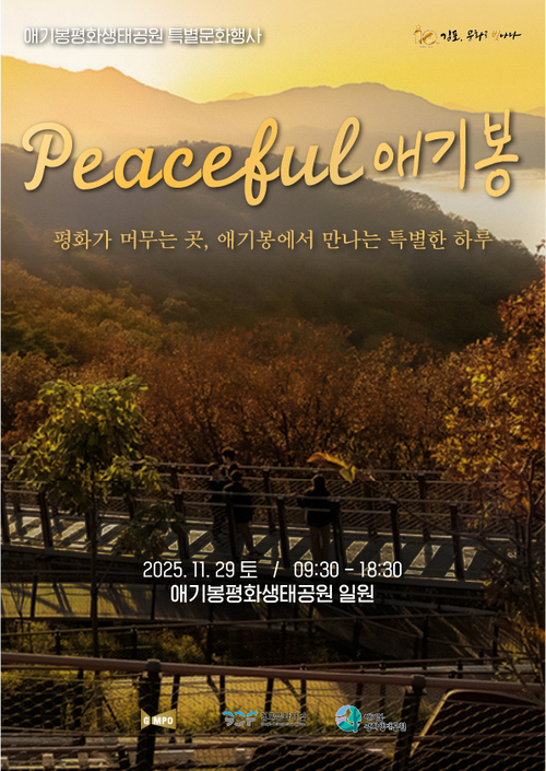 김포시 특별문화행사 'PEACEFUL애기봉' 포스터