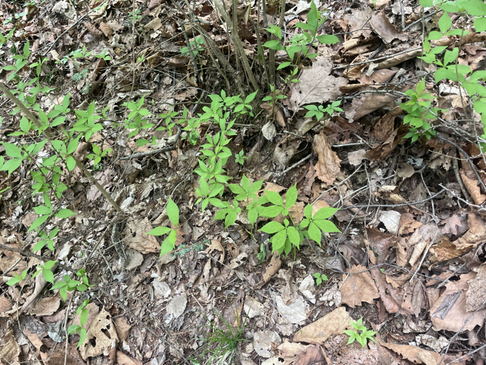 임업인 지원 위한 규제 혁신