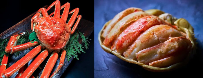 돗토리현이 겨울 매력 포인트로 소개한 겨울철 지역 명물 '마츠바가니(대게)'. 사진=푸드 인 재팬 제공