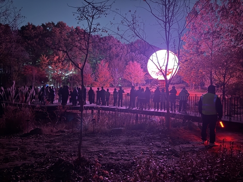 부천시 '루미나래 도화몽' 입장객들 달밤 관람