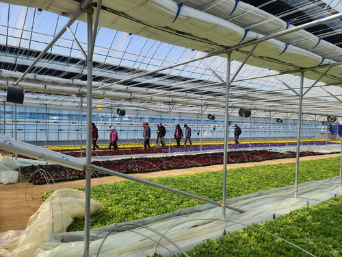 부천시 여월꽃양묘장에 조성된 맨발길