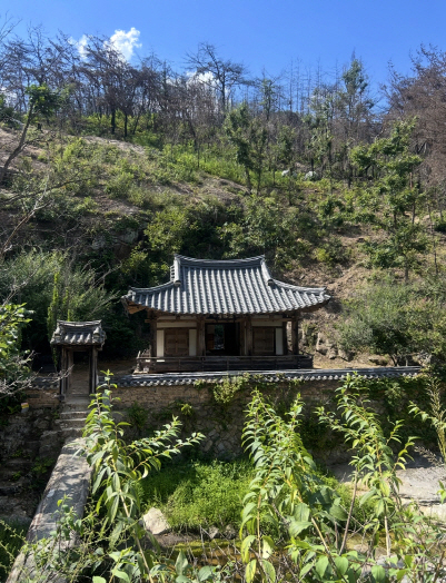 안동시, 문화유산 도시 도약…보존·국제협력·콘텐츠 성과로 '2025년의 안동'을 채우다