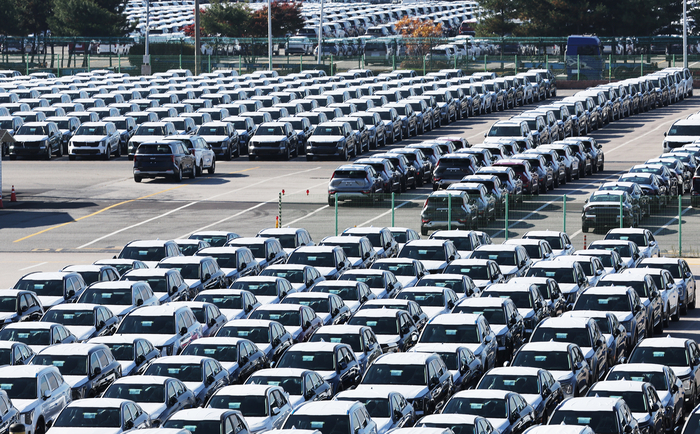 수출 대기 중인 자동차