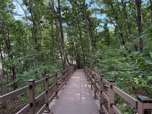 하남시 황산숲 데크로드 준공