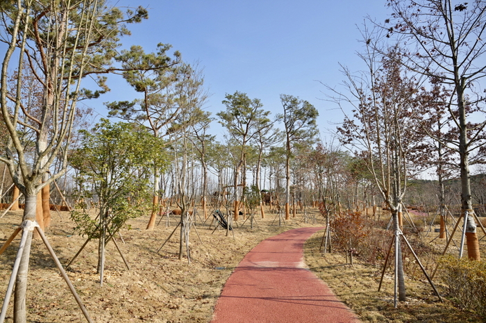공주, 도심에 '바람길 숲' 조성…미세먼지·열섬 잡는다