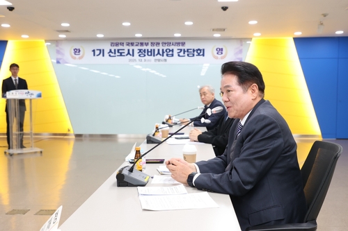 최대호 안양시장 3일 평촌신도시 선도지구 3개 구역 현장점검 주재