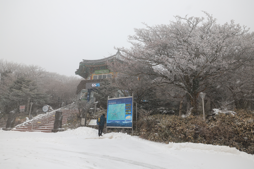 제주도 산지에 대설주의보가 내려진 지난 3일 한라산 1100고지에 눈이 쏟아지고 있다. 연합뉴스