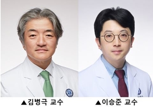 김병극·이승준 교수