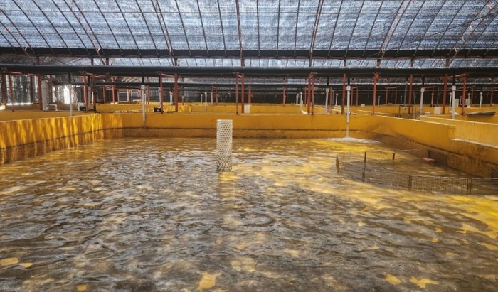 완도군, 올해 55억 투입 어류 양식업 경쟁력 강화 힘써