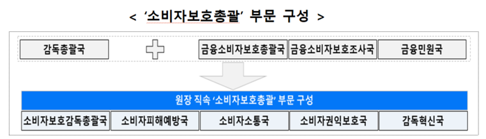소비자보호총괄 부문 구성
