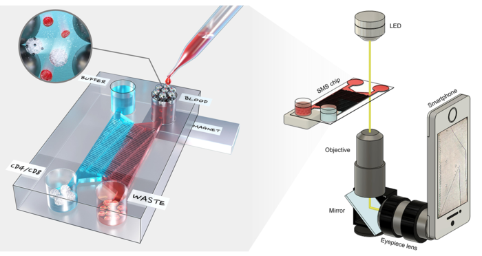 스마트폰 기반 면역세포 분석 기술 개발 모식도 (자료=한양대)