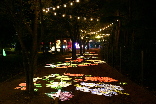 구리시 '2025 구리 빛 축제' 현장