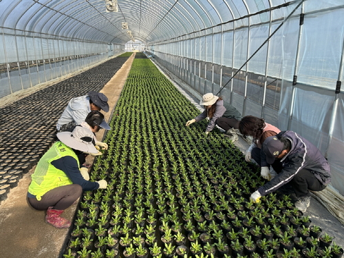 구리시 2025년 직접 일자리사업 참여자 근로 현장