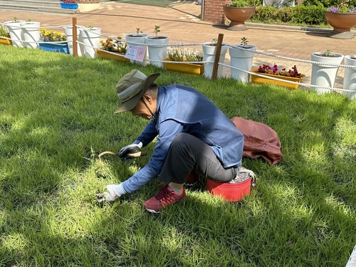노인 시장형 일자리 사업 '학교 환경관리 지원사업'